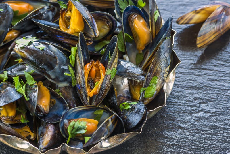 Cooked mussels royalty free stock images Cooked mussels royalty free stock images