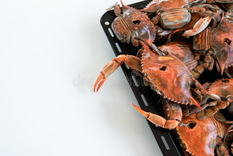 Cooked Red Crabs, Healthy Seafood Stock Photo Image of eating, meal 160007426