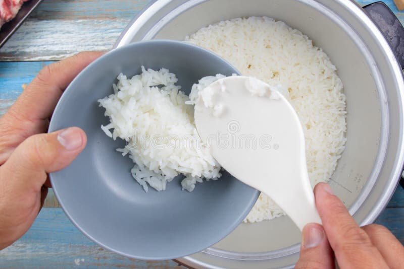 Cooked Rice On Plastic Ladle In Electric Rice Cooker Stock Photo Image Of Culture Cooker Cooked Rice On Plastic Ladle In Electric Rice Cooker Stock Photo Image Of Culture Cooker