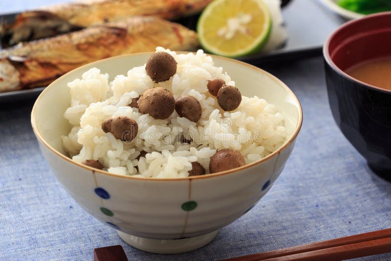 Cooked Rice with Propagule of Japanese Yam Stock Photo Image of