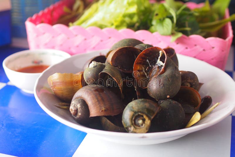 Boiled River Snail Thai Food Stock Photo Image of meat, oriental 40260576