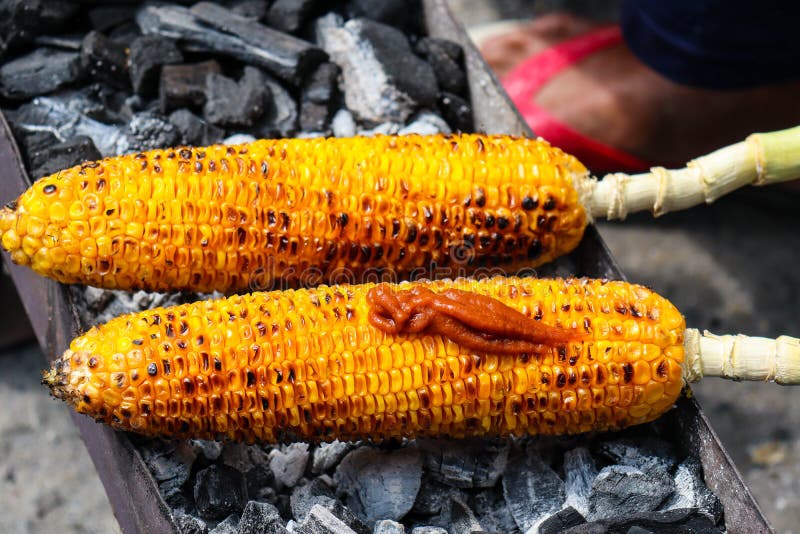 Cooked Roasted Corn Looks really Good in Cold Weather Stock Image