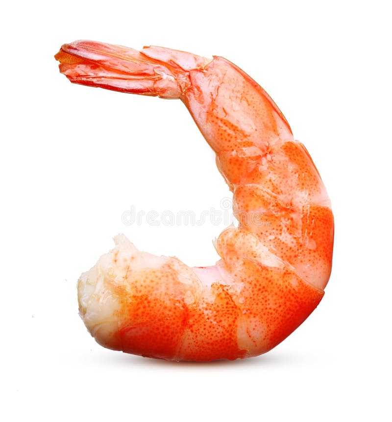 Cooked shrimp isolated. royalty free stock images