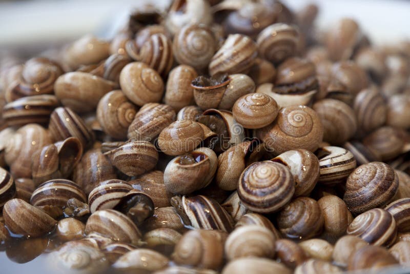 Cooked Snails at the Jamaa El Fna Market Stock Image Image of market, morocco 26686879
