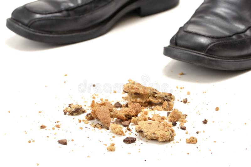 Cookie crumbs stock photo. Image of horizontal, snack 25459574