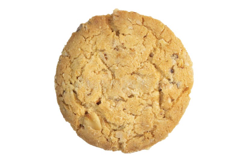 Cookie de farinha de aveia caseiro isolada no fundo branco Seu são um alimento nutriente-rico associado com a proteína e a fibra imagens de stock Cookie de farinha de aveia caseiro isolada no fundo branco Seu são um alimento nutriente-rico associado com a proteína e a fibra imagens de stock