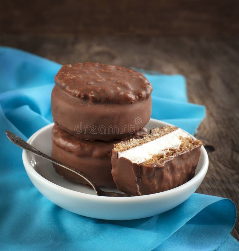 Gelado de aveia e bolachas fotografia de stock royalty free