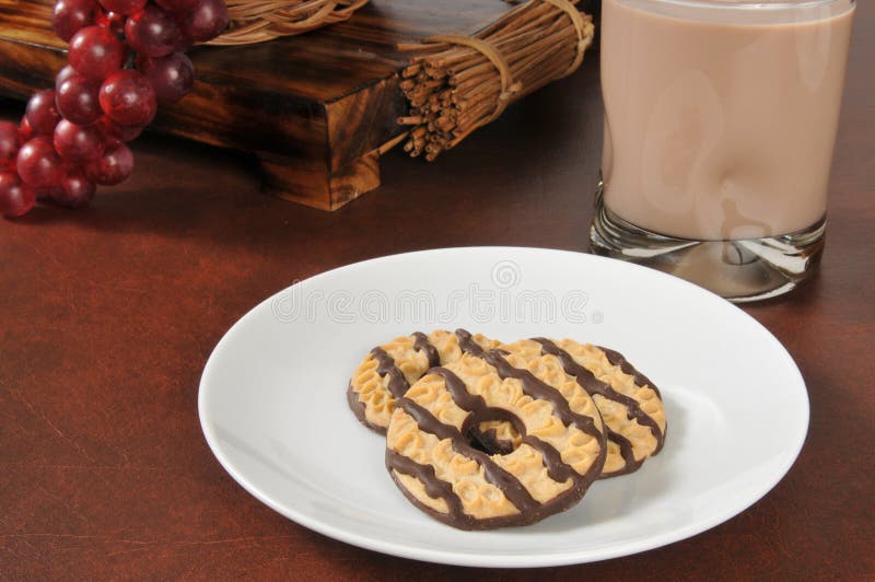Cookies and milk stock photography