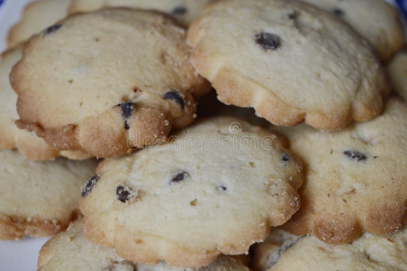 Cookies with Vanilla and Chocolate Stock Photo Image of cookies