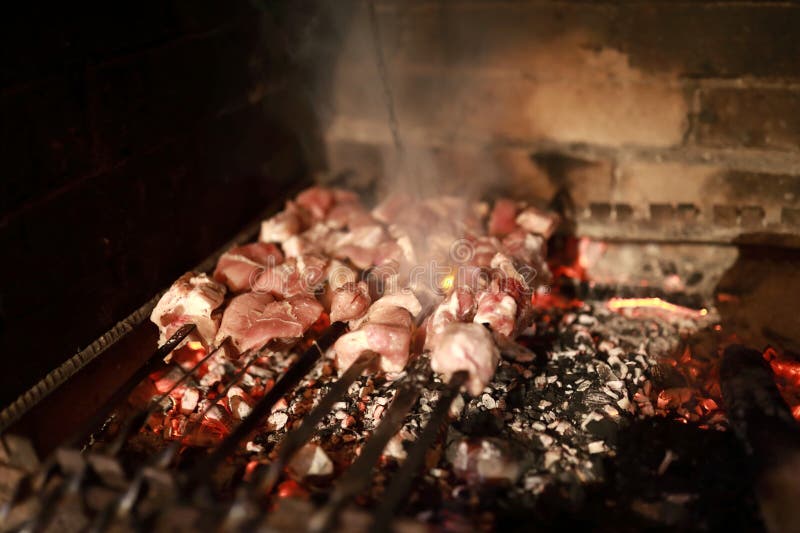 Cooking Barbecue on Coals in Fireplace Stock Image Image of healthy