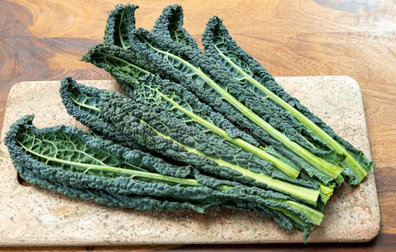 Cooking with Black Flat Leaves of Cavolo Nero Tuscan Cabbage Stock