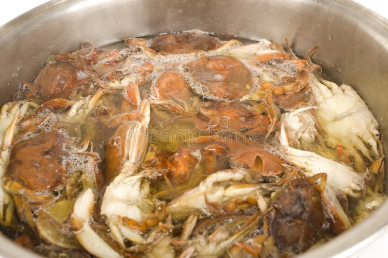 Cooking Crabs stock image. Image of meal, boil, water 13452953
