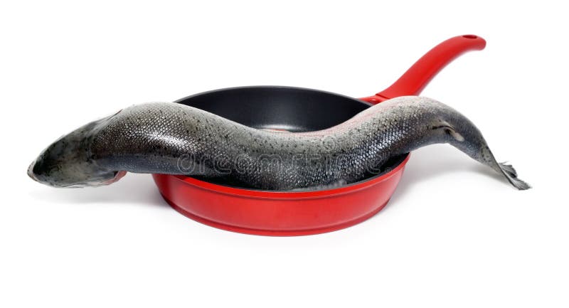 Cooking fish in frying pan isolated on white background. Frying pan stock images, royalty-free photos and pictures