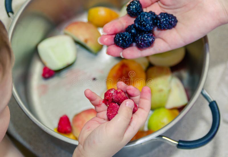 Preparation of Fruit Compote from Frozen Fruit Stock Image Image of