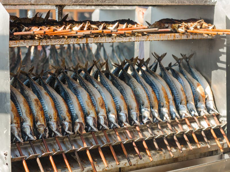 Cooking Grilled Mackerel On Skewers Stock Photo Image of healthy, color 35016526