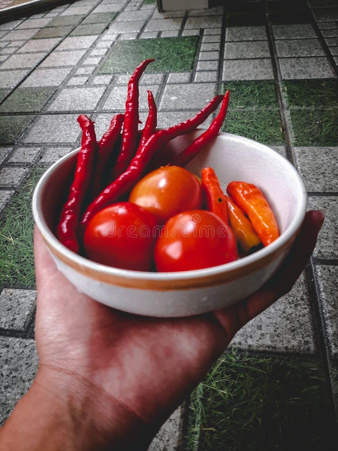 Cooking Ingredients Processed into Indonesian Traditional Food Stock