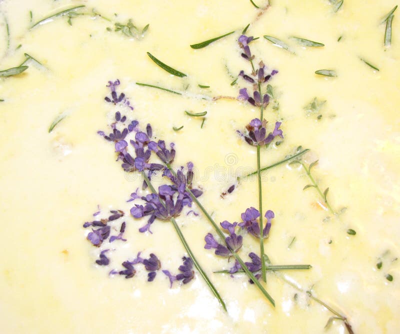 Cooking with Lavender & Herbs Stock Photo Image of herb, cooking