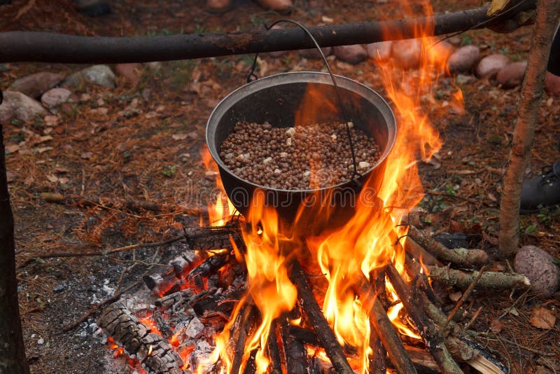 Cooking a meal in the forest