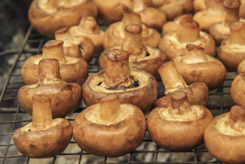 Cooking Mushrooms on the Grill Stock Image Image of conscious, fungus