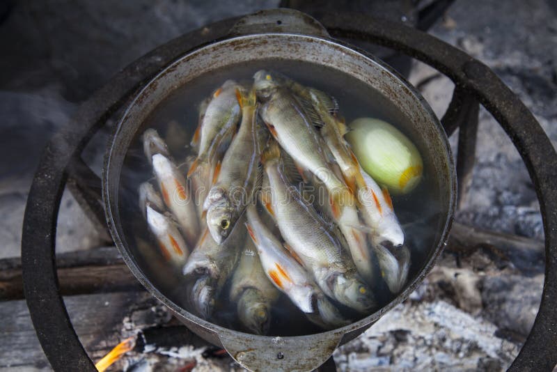 Cooking At The Stake, Fish Soup, Camping Kitchen Stock Image Image of fresh, background 185437219