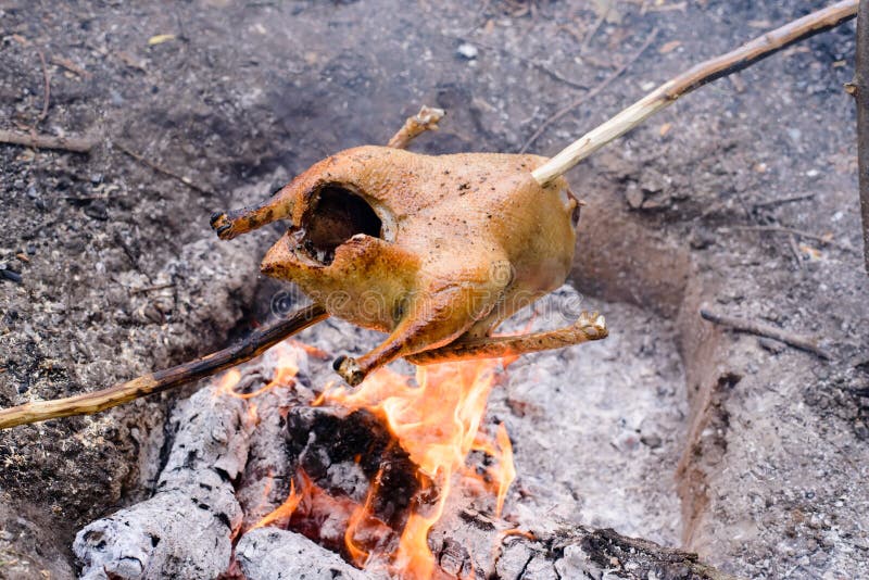 Cooking a whole chicken over a campfire