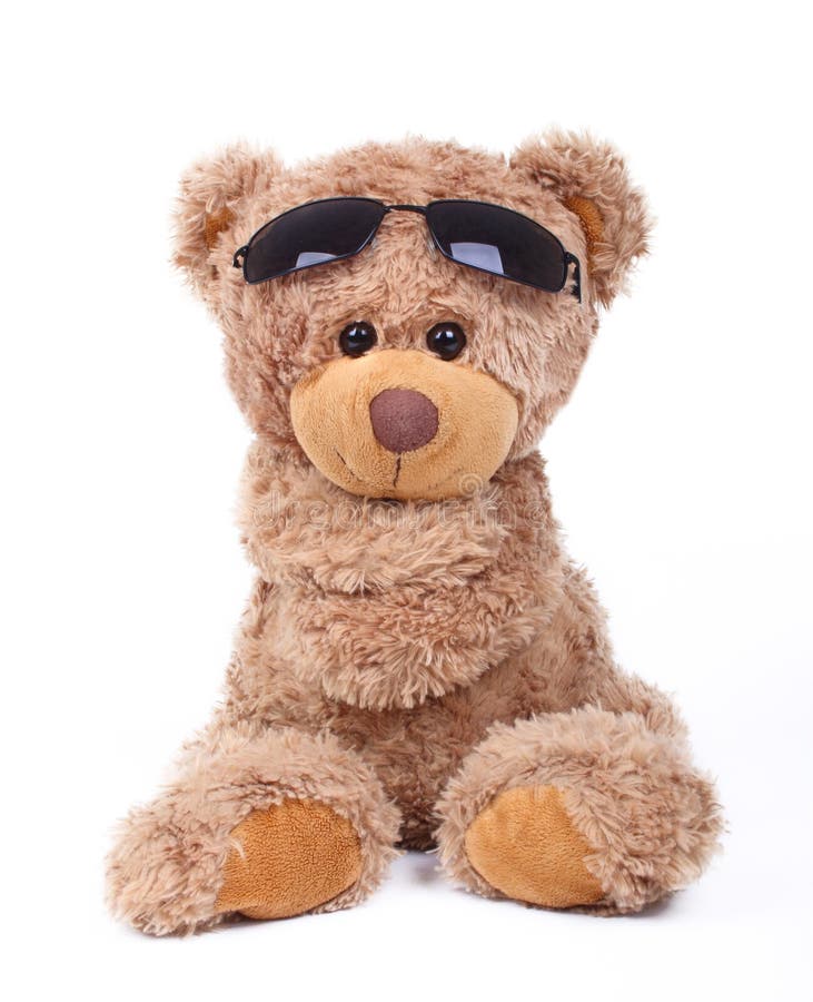 cool teddy