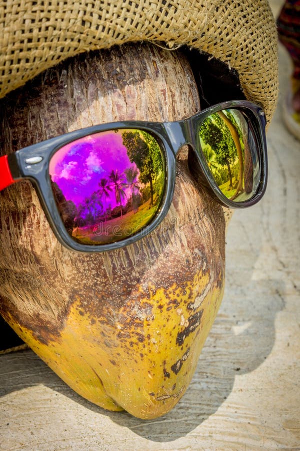 Cool coconut stock photo. Image of chill, cool, coconutty 74110196