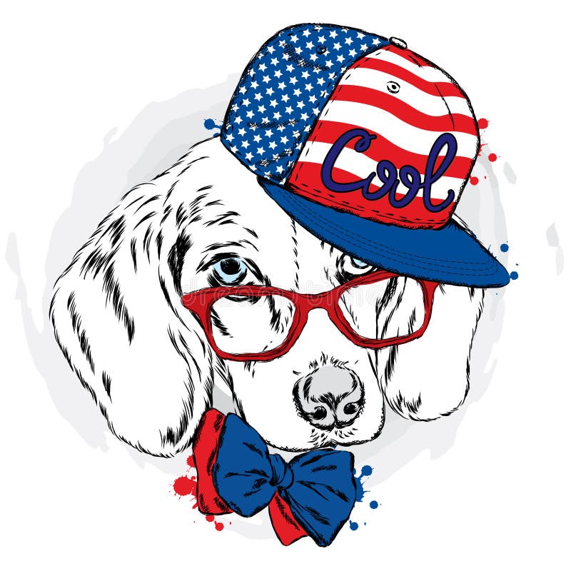 Cool Dog in Cap and Glasses. Stock Vector Illustration of dachshund