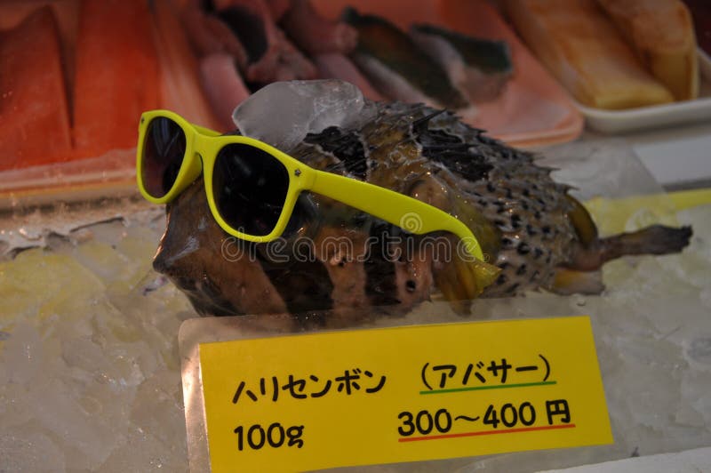 fish sunglasses