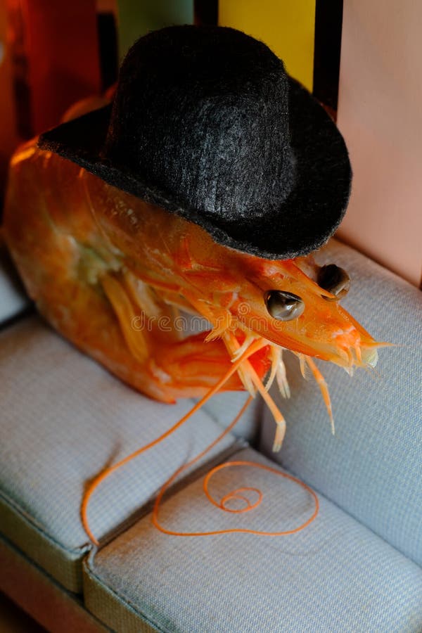 Cool Shrimp Top Hat stock photo. Image of culinary, food 238221538