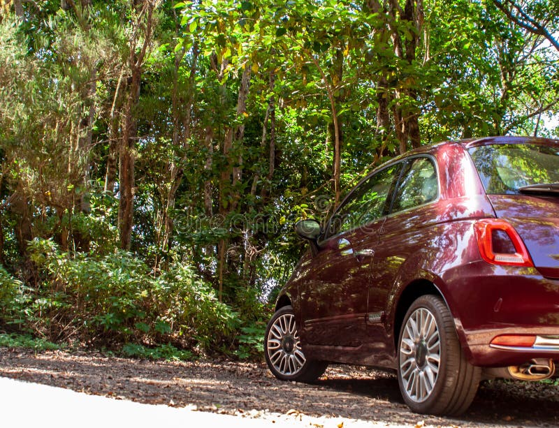 Cool view from a fiat 500 in canary forest stock photos Cool view from a fiat 500 in canary forest stock photos
