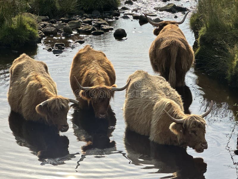 Cooling off stock photography