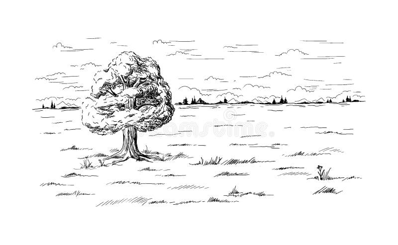 Copac singuratic în mijlocul câmpului royalty free illustration