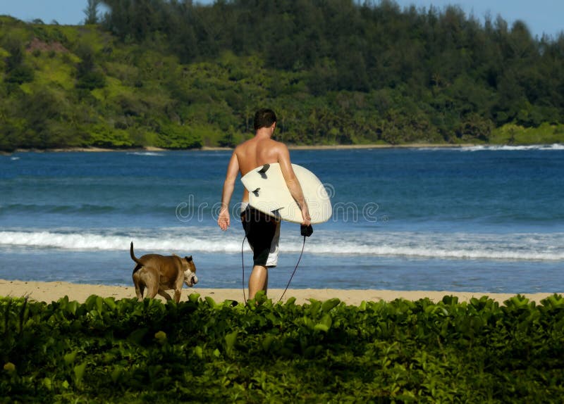 Young man and his dog walk toward the ocean. The man is wearing black shorts and carries a white surfboard. Both have their back to camera. Young man and his dog walk toward the ocean. The man is wearing black shorts and carries a white surfboard. Both have their back to camera