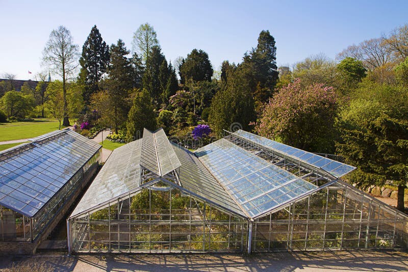 Copenhaga, Dinamarca - estufas no Jardim Botânico fotografia de stock royalty free