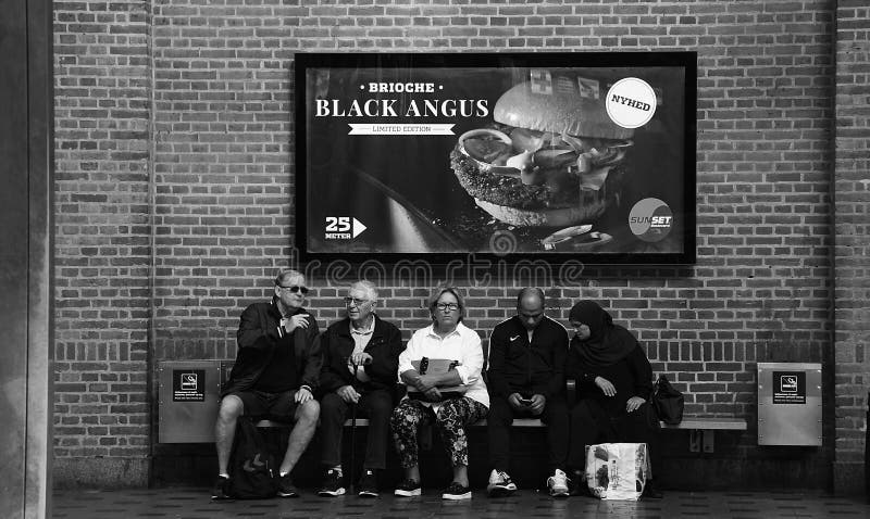 COPENHAGEN CENTRAL TRAIN STATION Editorial Image Image