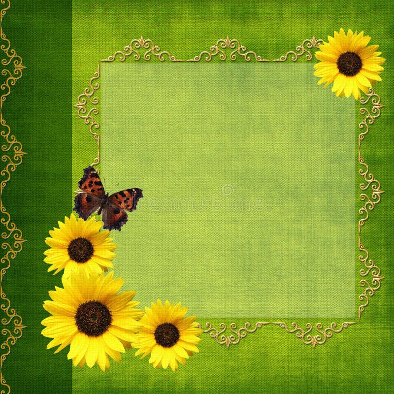 Album green cover with sunflower and butterfly. Album green cover with sunflower and butterfly