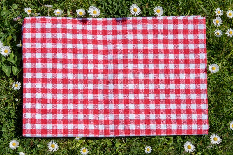 Coperta da picnic rosso. panno da picnic rosso su un prato fiorente con fiori margheriti. splendido sfondo per il prodotto