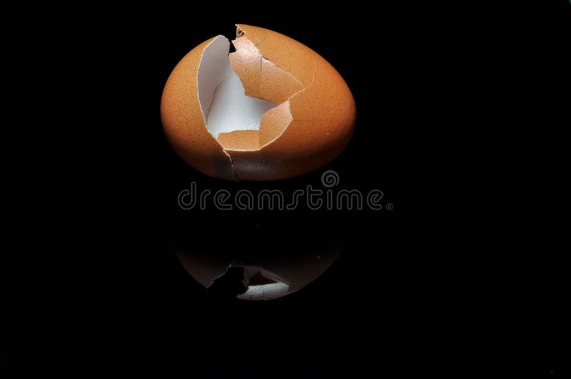 Coperture dell'uovo su fondo nero immagine stock libera da diritti Coperture dell'uovo su fondo nero immagine stock libera da diritti