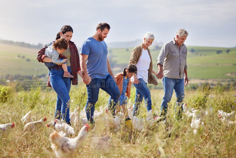 Copii de familie și ținându-se de mână la plimbarea puilor sau la dragostea în timpul verii în aer liber sau în mediul rural. Oame stock photos