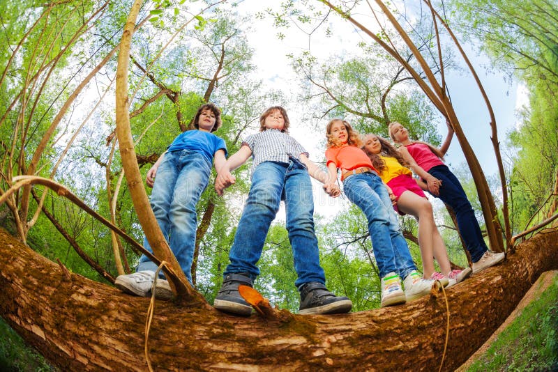 Copii stând împreună în portbagajul copacilor căzuți stock photo
