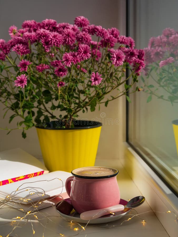 Copo De Café Chocolate Lindas Flores Cor-de-rosa Do Crisântemo Do Outono Na Janela Do Pote Amarelo. Lar Aconchegante Imagem de Stock - Imagem de interior, roxo: 233152749 Copo De Café Chocolate Lindas Flores Cor-de-rosa Do Crisântemo Do Outono Na Janela Do Pote Amarelo. Lar Aconchegante Imagem de Stock - Imagem de interior, roxo: 233152749