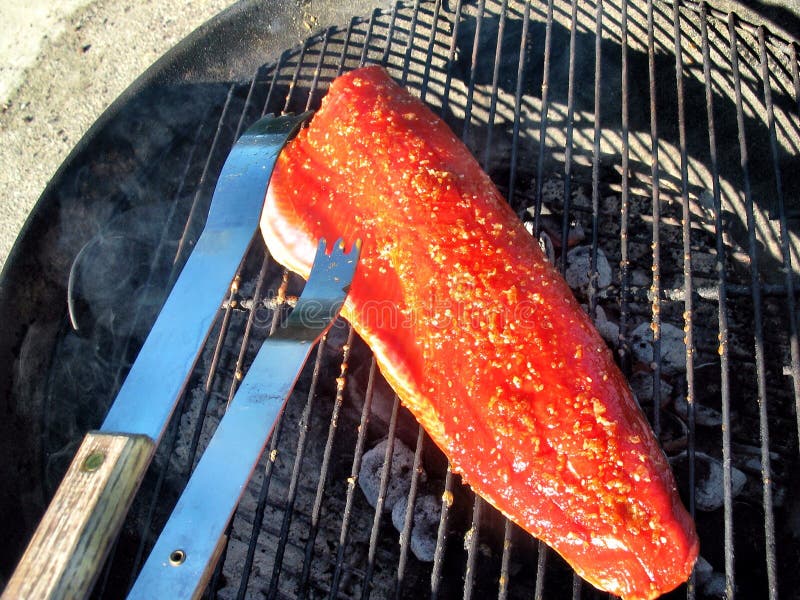 Copper River Salmon on the Grill Stock Image Image of fish, river