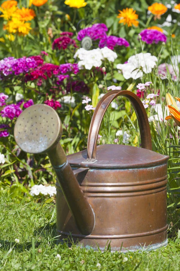 Old copper watering can stock image. Image of rusty, bucket 26374541