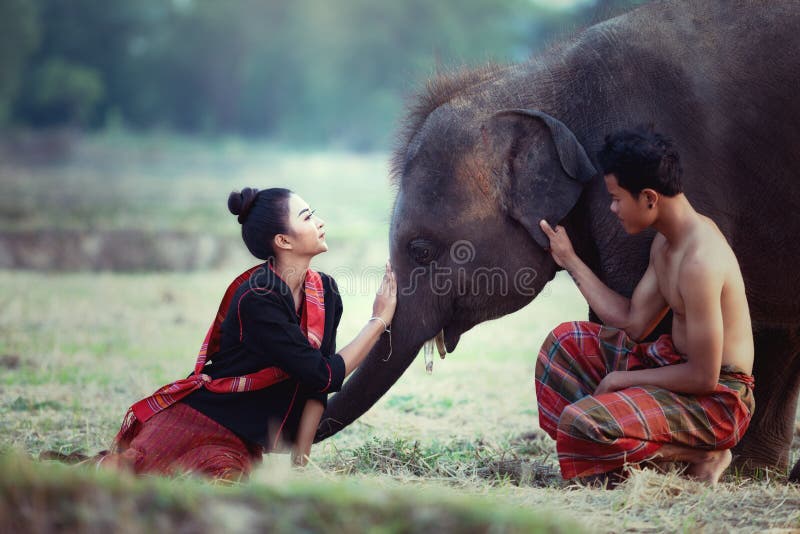 Coppie che godono con i giovani di stili di vita dell'elefante in Surin fotografia stock Coppie che godono con i giovani di stili di vita dell'elefante in Surin fotografia stock