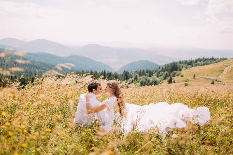 Coppie romantiche che si siedono nell'erba al campo soleggiato giallo con Forest Hills come fondo Vista posteriore immagine stock libera da diritti Coppie romantiche che si siedono nell'erba al campo soleggiato giallo con Forest Hills come fondo Vista posteriore immagine stock libera da diritti