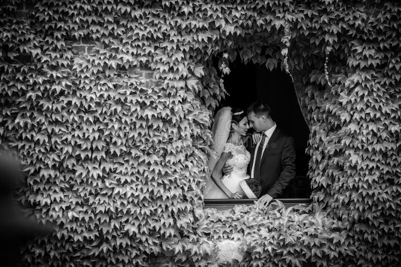Coppie romantiche della persona appena sposata di favola dei valentynes che posano in una n o immagine stock Coppie romantiche della persona appena sposata di favola dei valentynes che posano in una n o immagine stock
