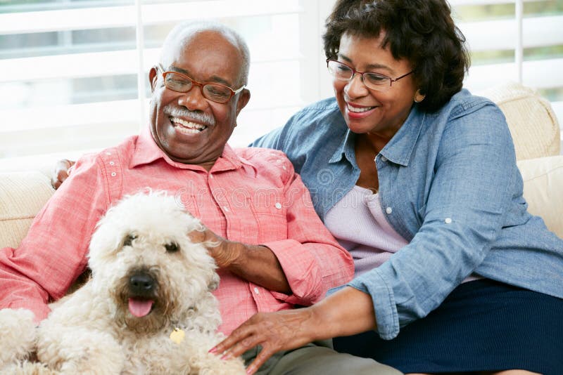 Happy Senior Couple Sitting On Sofa With Dog Smiling. Happy Senior Couple Sitting On Sofa With Dog Smiling