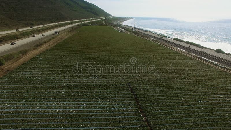 Copter flight over the corn field near the highway and Pacific coast