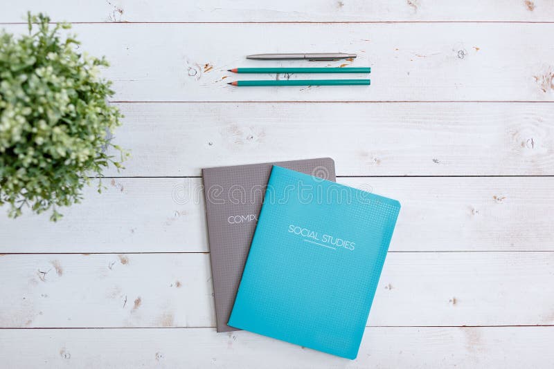 Copybook, pencils and pen on a white table with a flower in a pot